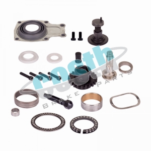 Caliper Repair Kit (Rear - Right) 60-2087 D3
