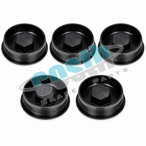 Kaliper Perno Plastik Kapak Seti 90-5094